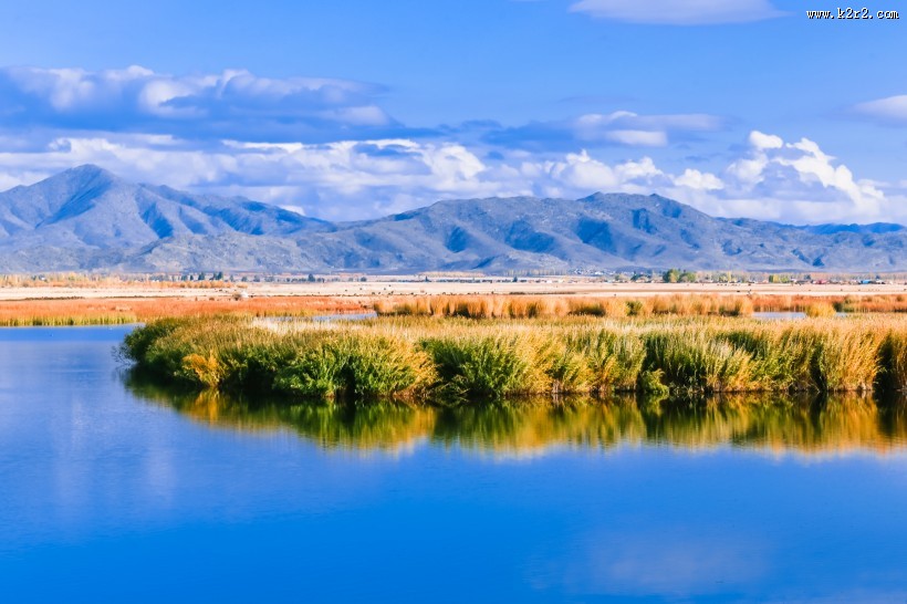新疆可可托海的金秋景色大全