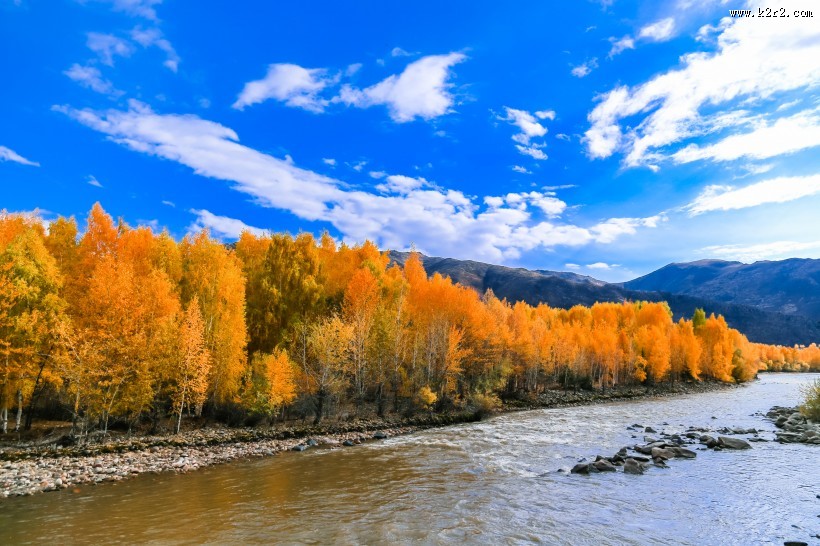 新疆可可托海的金秋景色大全