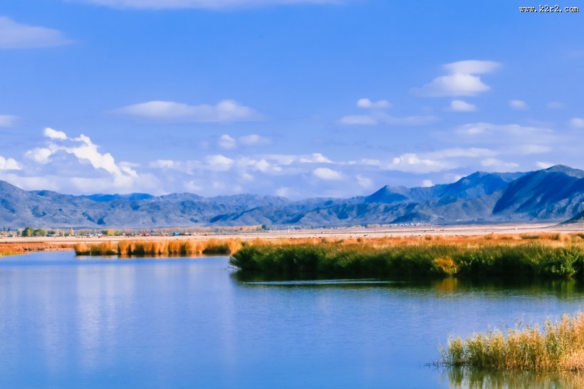 新疆可可托海的金秋景色大全