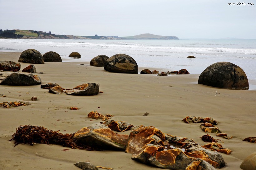新西兰蓝岛摩拉基大圆石图片