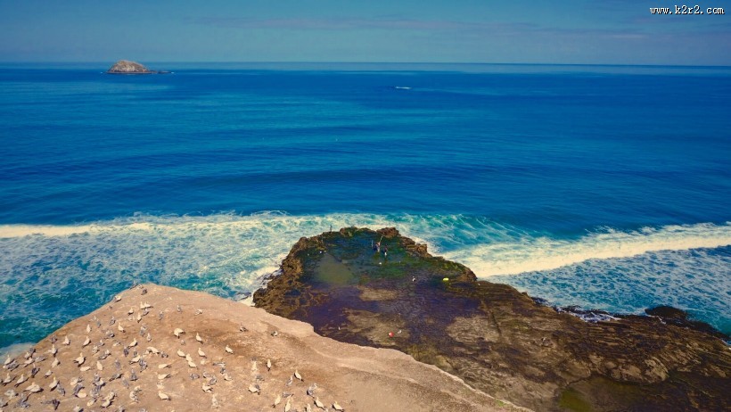 新西兰奥克兰鸟岛黑沙滩风景图片