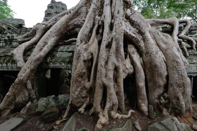 柬埔寨塔布隆寺风景图片