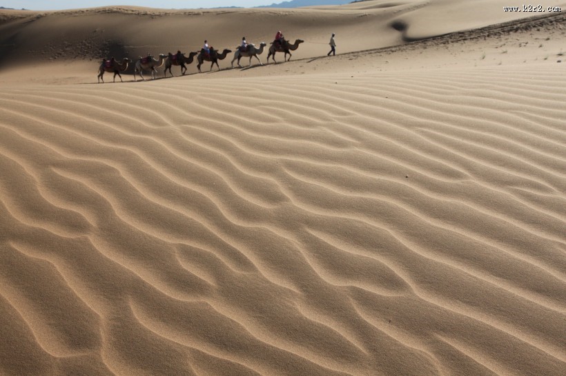 宁夏沙坡头风景图片