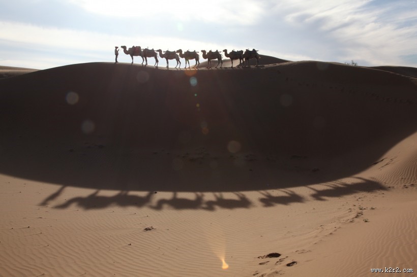宁夏沙坡头风景图片