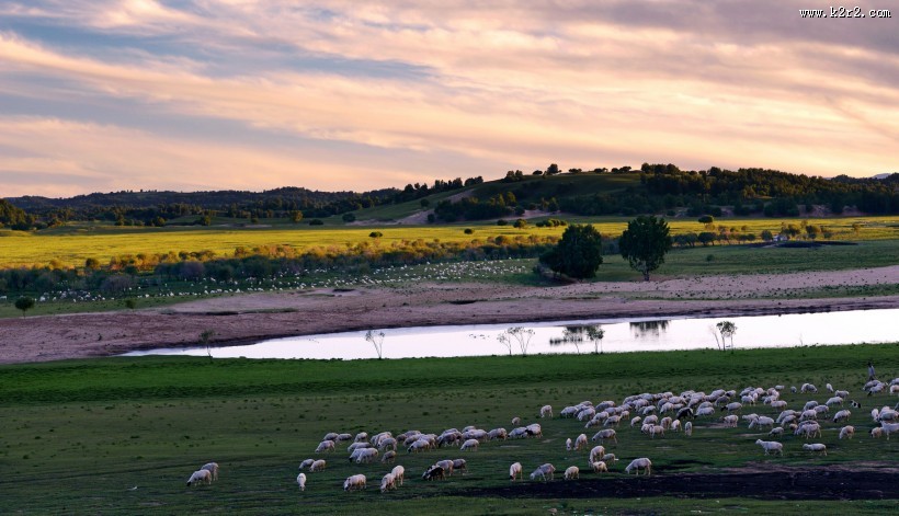 内蒙古乌兰布统草原风景图片大全