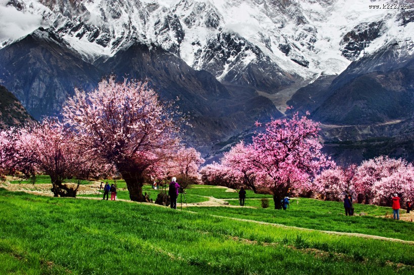 西藏林芝风景图片
