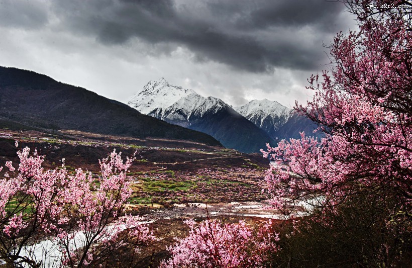 西藏林芝风景图片