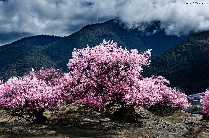 西藏林芝风景图片