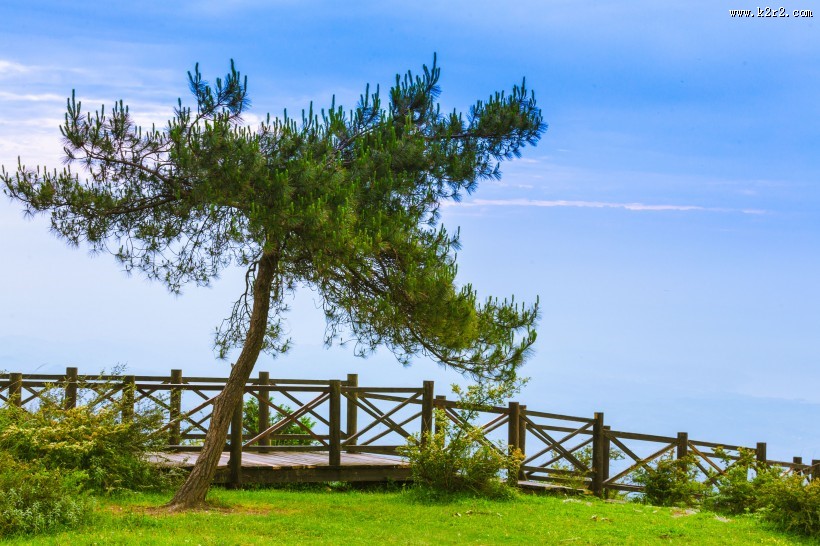 重庆千野草场风景图片