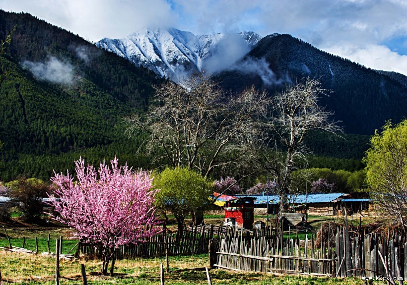 西藏林芝风景图片