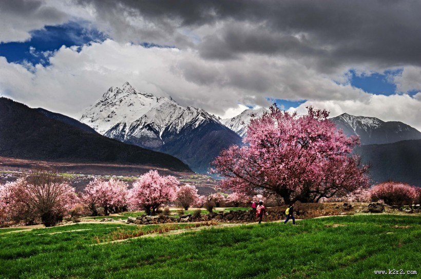 西藏林芝风景图片