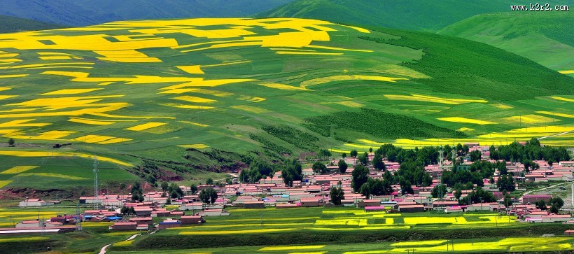 大美青海门源风景图片