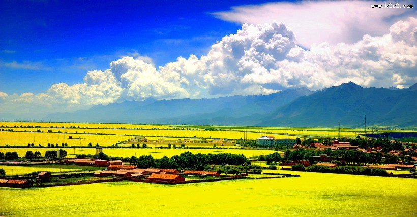 大美青海门源风景图片