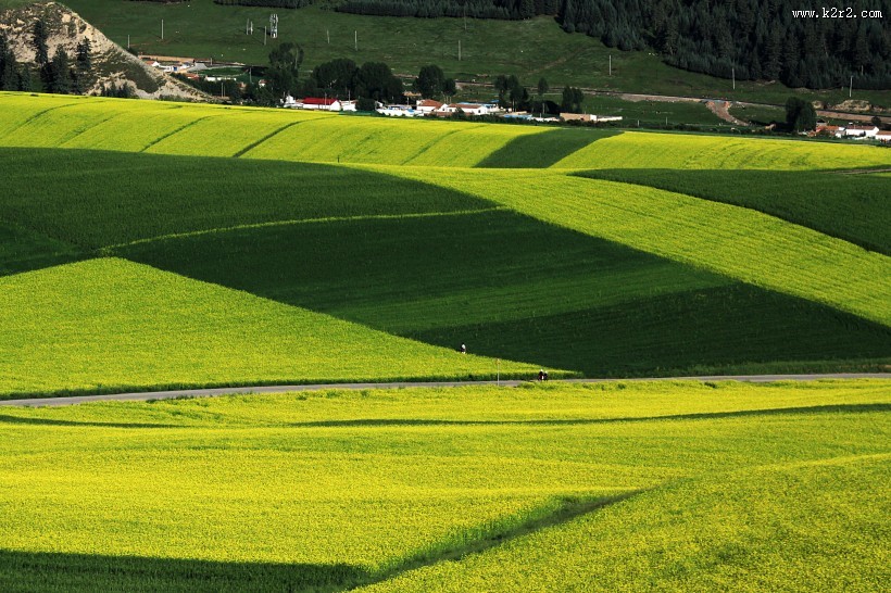 青海祁连山风景图片大全