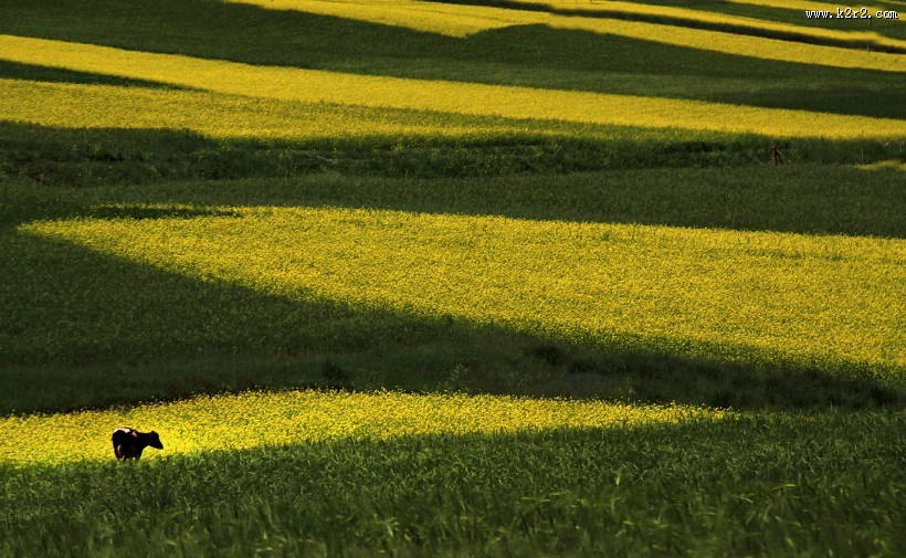 青海祁连山风景图片大全