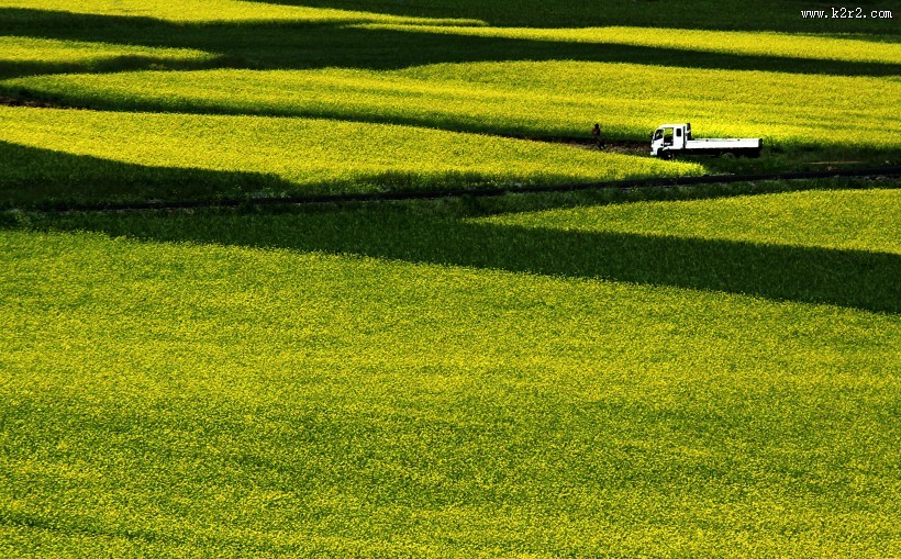 青海祁连山风景图片大全