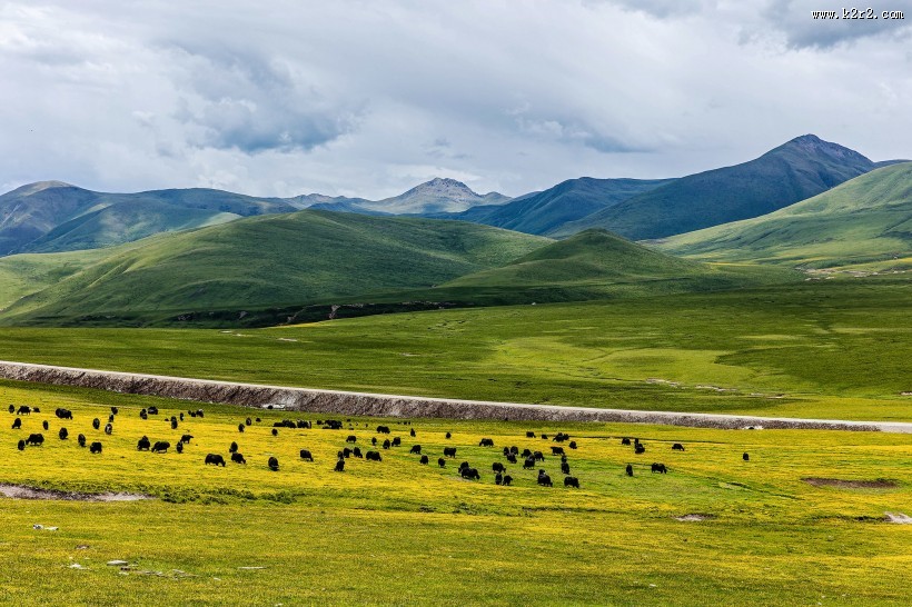 甘肃甘南草原风景图片