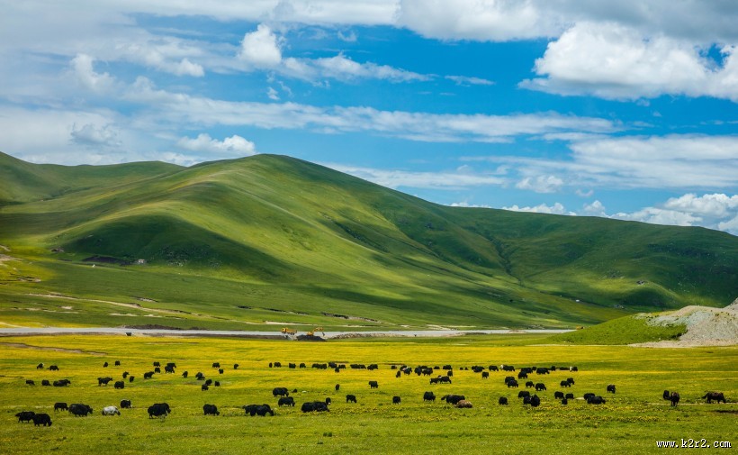 甘肃甘南草原风景图片