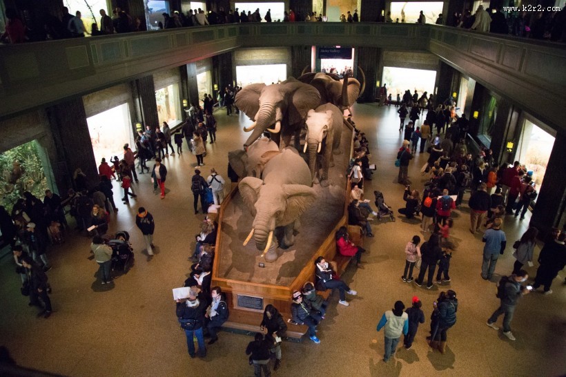美国自然史博物馆内部图片