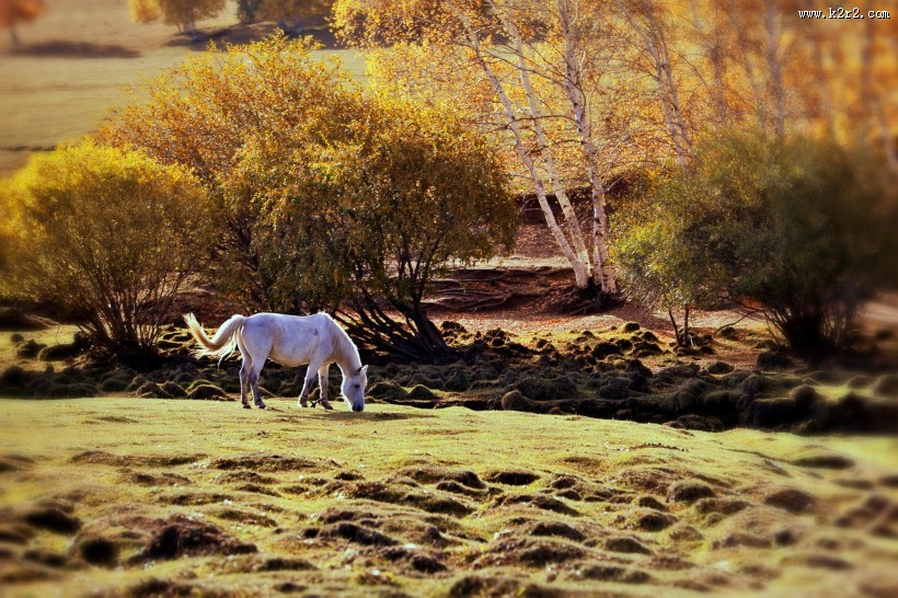 河北坝上风景图片