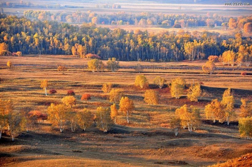 河北坝上风景图片
