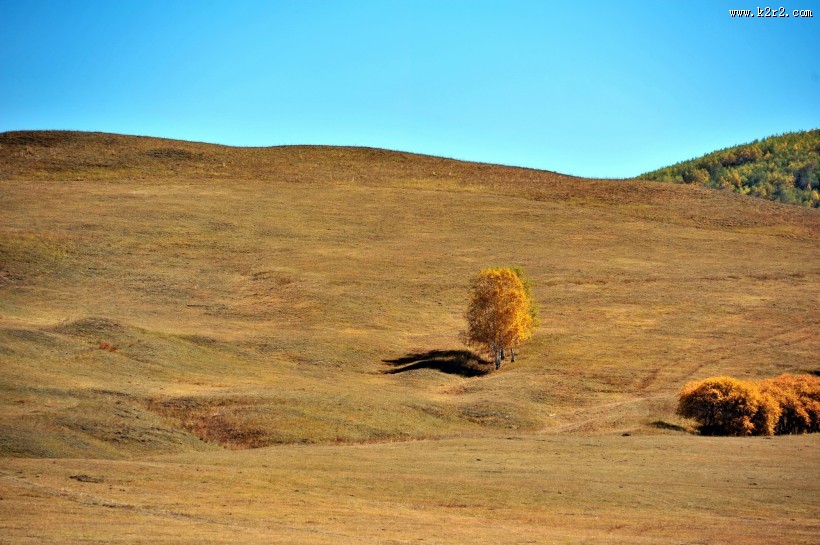 河北坝上风景图片