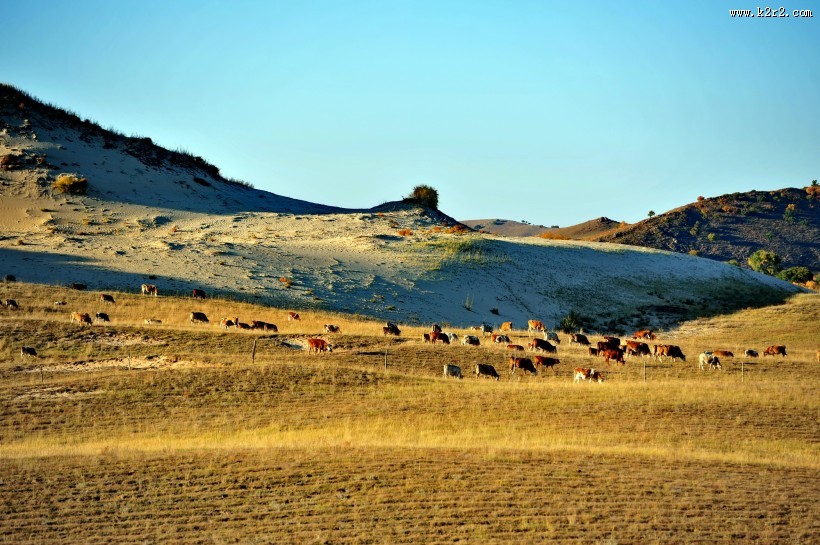河北坝上风景图片