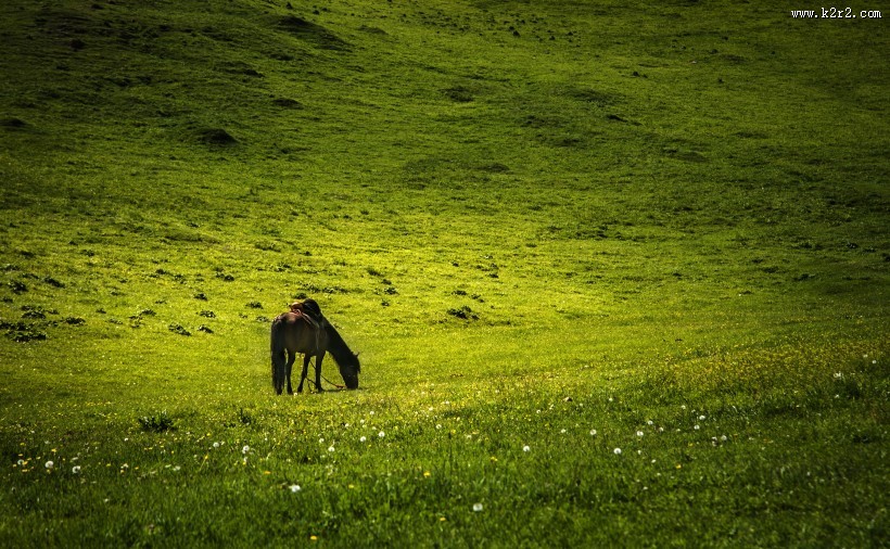 新疆赛里木湖图片大全