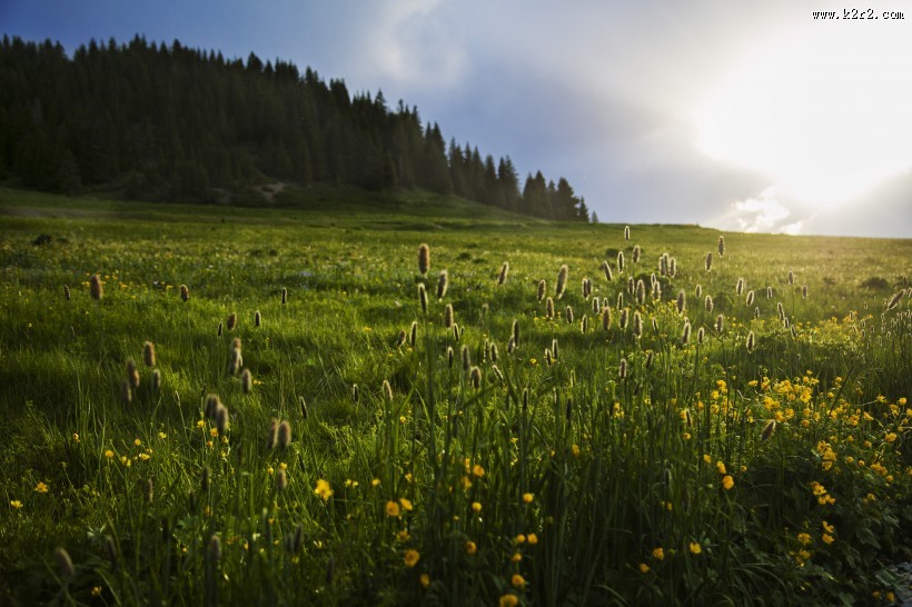 新疆赛里木湖图片大全