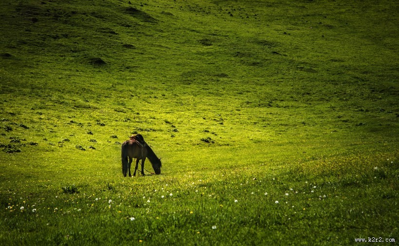 新疆赛里木湖图片
