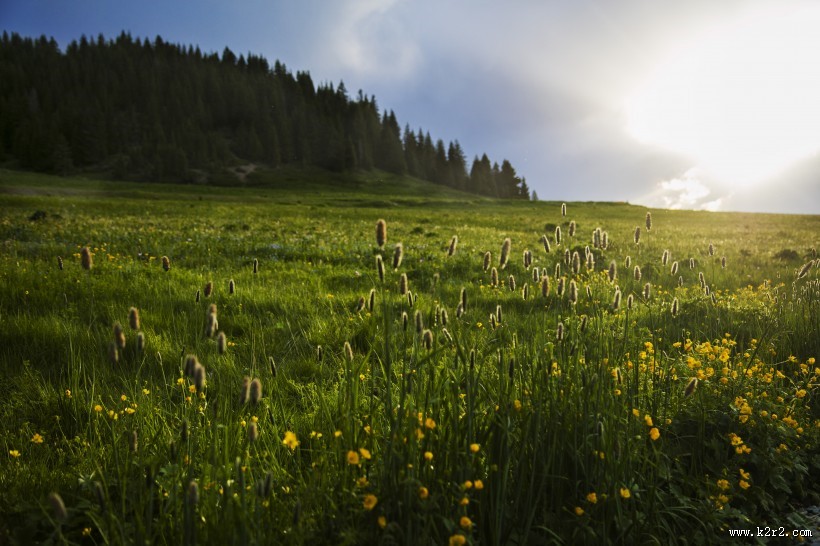 新疆赛里木湖图片