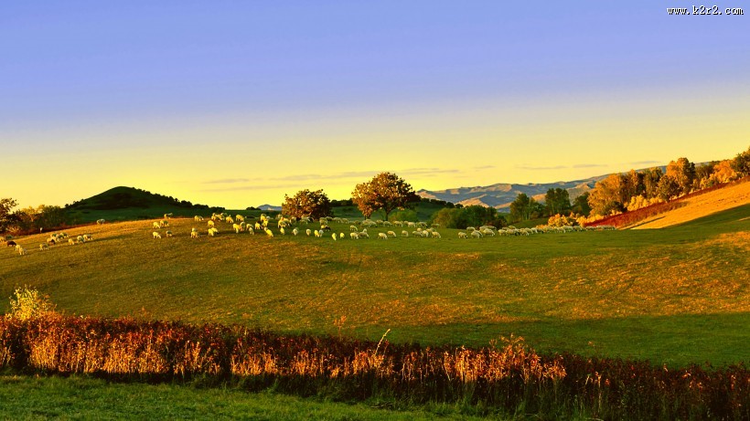 坝上田园风光图片