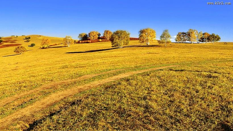 坝上田园风光图片
