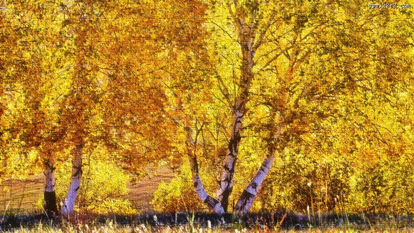 坝上田园风光图片