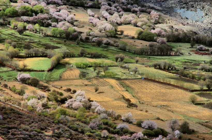 西藏雅鲁藏布大峡谷风景图片大全