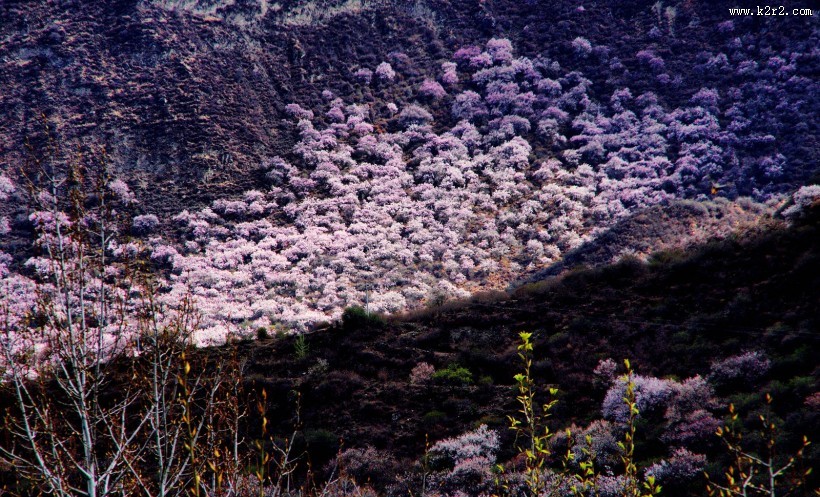 西藏雅鲁藏布大峡谷风景图片大全