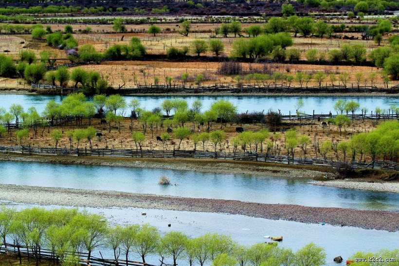 西藏尼洋河风景图片大全