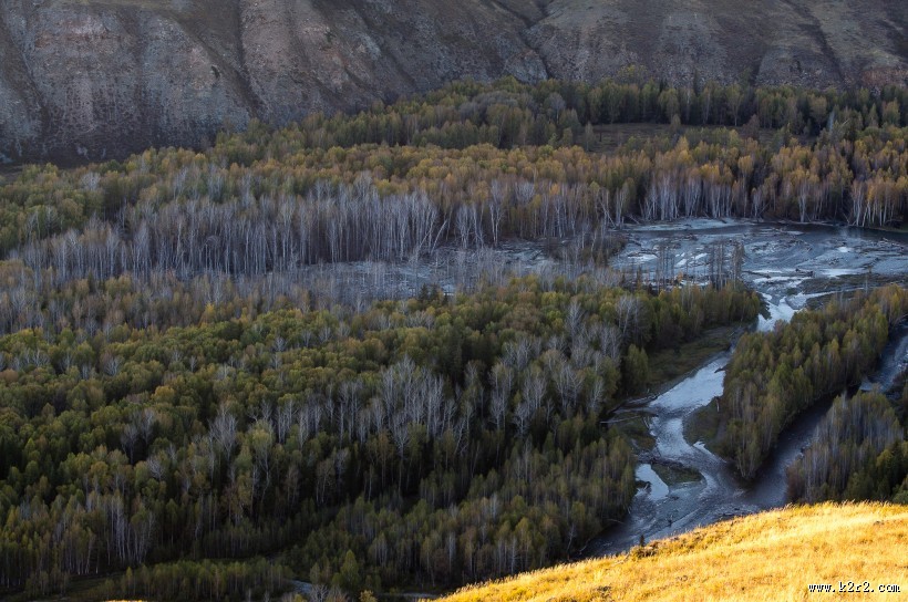 新疆喀纳斯风景图片