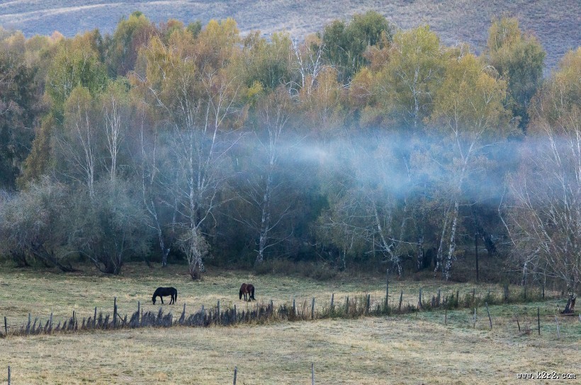 新疆喀纳斯风景图片