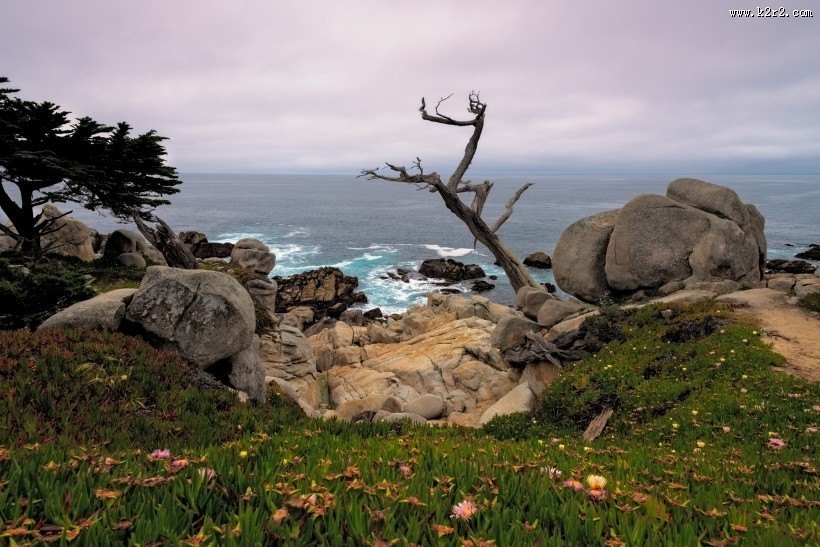 美国西部风景图片