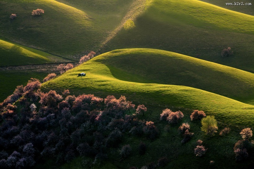 新疆新源野杏林风景图片大全