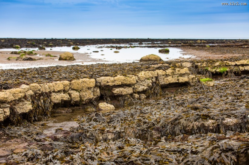 英国惠特比罗宾汉湾海滩风景图片