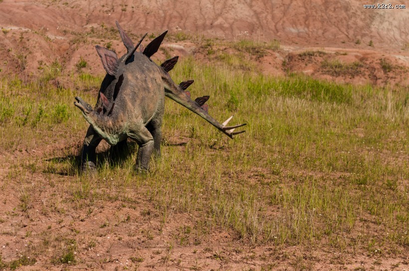 白垩纪时期的恐龙模型图片大全
