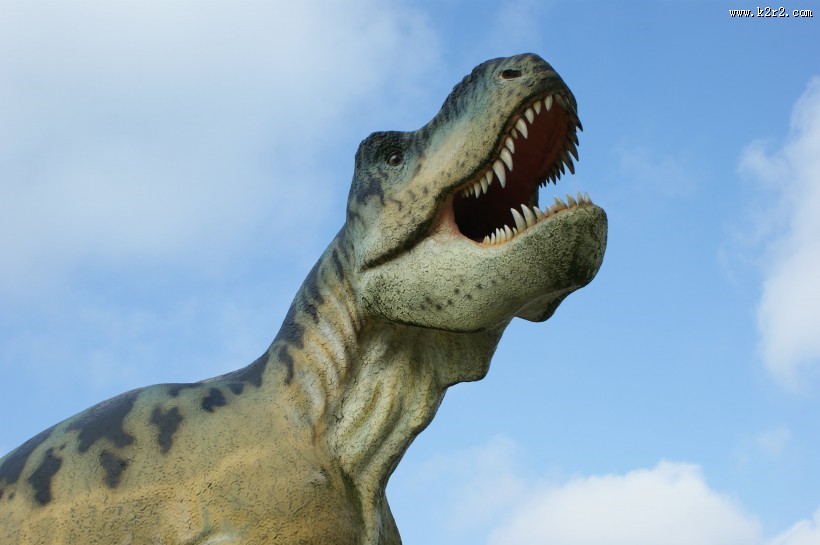 白垩纪时期的恐龙模型图片大全