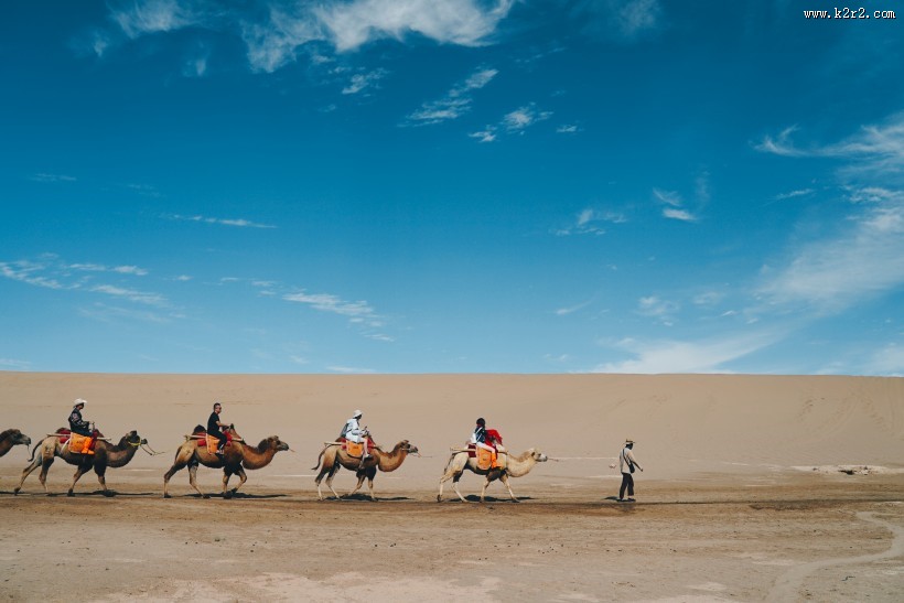驮着人的骆驼图片