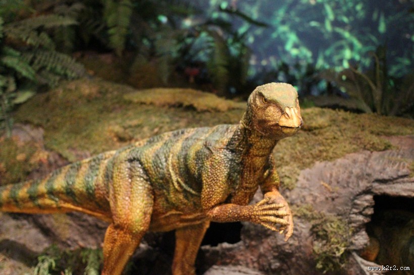 白垩纪时期的恐龙模型图片