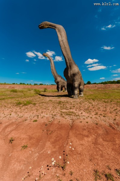 白垩纪时期的恐龙图片