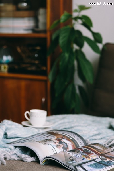 沙发上的杂志和小狗的图片大全