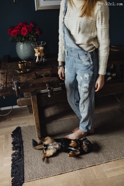 黑色的小狗图片