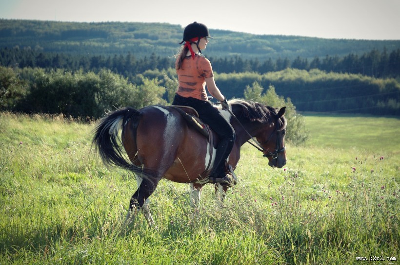 矫健俊美的马图片大全
